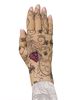 Lymphedivas Mariposa Beige Lymphoedema Glove Modelled