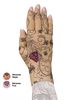 Mariposa Lymphoedema Glove