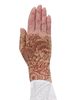 Lymphedivas Bodhi Beige Lymphoedema Gauntlet