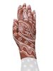 Lymphedivas Daisy Dark Lymphoedema Glove Modelled